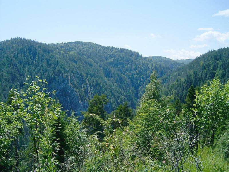 20120616 037.jpg